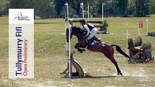Tullymurry Fifi (Open Preliminary | 2023 Ocala International Festival of Eventing)