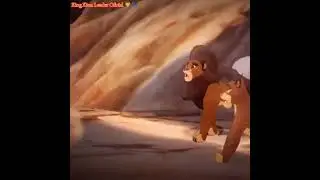 | A Rani era tipo assim com o kion, no come&ccedil;o!...❤️ |