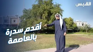 سدرة بيت عائلة الزبن.. الأقدم في مدينة الكويت