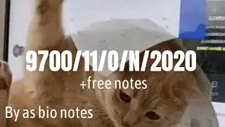 9700/11/O/N/2020