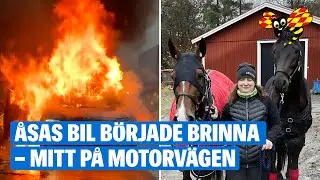 Åsas bil började brinna på väg till veterinären – så räddades hästarna