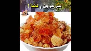 Amazing Benefits of the Babul Tree (Acacia nilotica) &ndash; Nature&rsquo;s Healing Gift!