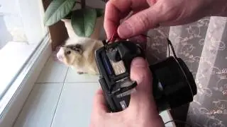 Дополнительный самодельный аккумулятор к фотоаппарату Canon PowerShot SX50_HS