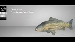 Fishing Planet - Weeping Willow Fisheries - Unique - Common Carp - Bottom