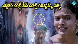 Latest Telugu Movie  Ashok  Jr. NTR Mass Action  Scenes  || iDream Eluru