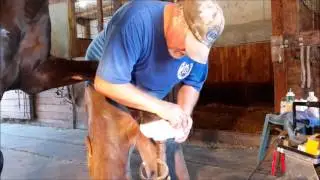 Resection of a Hoof Founder by Sam Hilterbrand