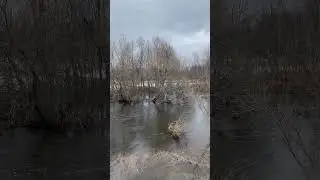 Апрельские разливы 