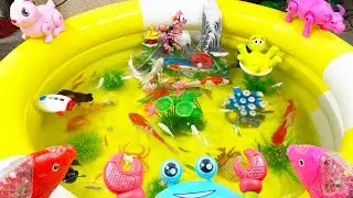 Amazing Put fish in the float,sharks,dolphins,sea creatures,Slipp vakre prydfisk,marint liv,koi fisk