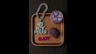 ICY POLAR- CASH OUT (prod.mlody)