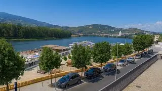 🍇 Douro Valley Day Trip | Guesthouse Stay, Wine Museum & Festival 🇵🇹✨