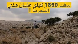 ركوب الخيل في منطقة تنومة المملكة العربية السعودية 🇸🇦
