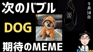 【宝くじ枠】DOG/ Runestone BTC期待で10日で底から2倍！アツい理由と購入方法を解説！DOG GO TO THE MOON