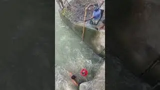 Wow! A great village fishing method.#villagefishing #fishingvideos #fishing #fishinglife #reel