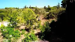 Verger potager Bio asso graine d'&Eacute;colo Hercules ecolodge Tanger