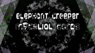 Elephant Creeper | Prod. Mycelial Cords