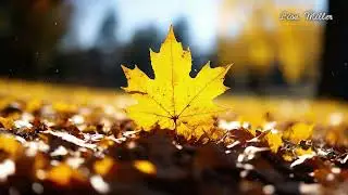 Lion Miller - Autumn Mood - Contemporary Classical Music