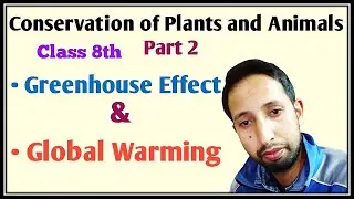 Conservation of Plants & Animals Class 8|Part 2|Greenhouse effect & Global warming|My Sciencopedia