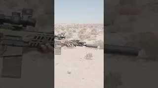 Q - Blind Tiger