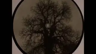 Dubatech - Nonagon