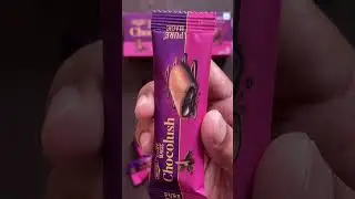 Britannia Chocolush | #shorts #chocolate #chocolush #biscuit #cookies #choco #britannia #biscuits