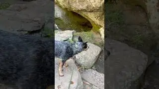 Robber's Cave - Oklahoma State Park - Wilburton, OK