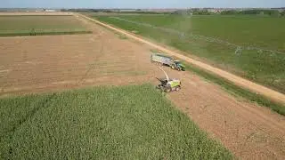 Silage maiz 2023//Claas Jaguar//John Deere//Fliegl