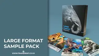 LARGE FORMAT SAMPLE PACK