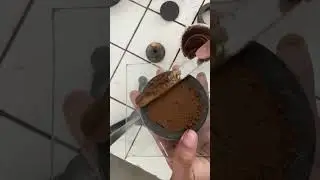 Prueba consolidómetro