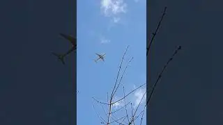 ✈️  A beautiful plane in a beautiful sky. Shorts 23