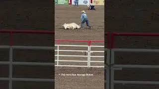 He Took Down a Wild Cow &mdash; Rodeo Madness in Action. #RodeoMadness #WildCowTakedown #cowboyaction