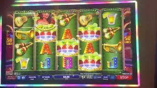 Fiesta Rosa big win