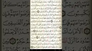 ماهر المعيقلي سورة التوبة مكتوبة صفحة 202 مصحف المدينة المنورة جودة عالية