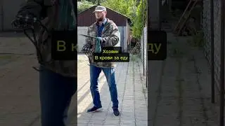 Овчарка покусала хозяина. Дрессировка собак