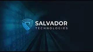 Cyber Attack Recovery Solution by Salvador Technologies