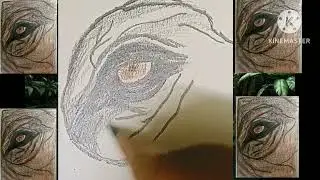 Elephant Eye Sketch video। Elephant Art video।Best Animal Art Sketch video।How to make elephant Eye