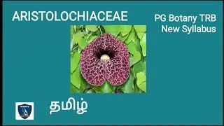 Aristolochiaceae in Tamil |Taxonomy and Systematics | Botany I PG TRB New Syllabus