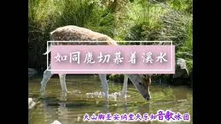 如同鹿切慕着溪水