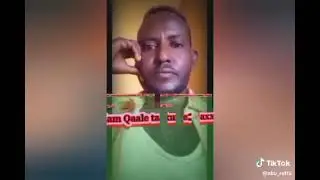 Royyan