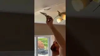 Ceiling Cracks [How To Fix a Hairline Crack In Plaster]