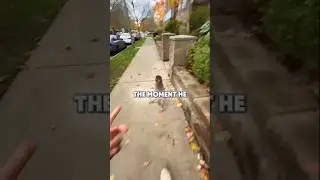 Smart Dog Picks Up Leash for Owner 🧠🐶 #dog #shorts