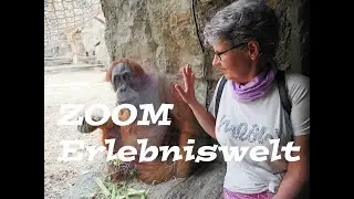 Tierisch nah dran: Ein filmisches Abenteuer im Erlebniszoo Zoom in Gelsenkirchen