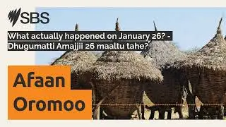 What actually happened on January 26? - Dhugumatti Amajjii 26 maaltu tahe? | SBS Afaan Oromoo