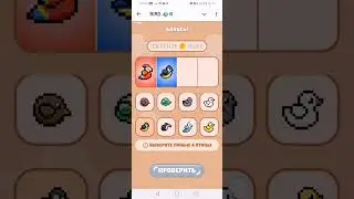 Bird ton daily combo 21.10.2024