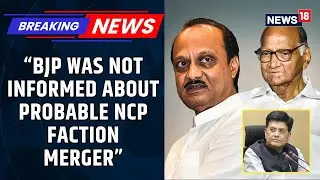 Piyush Goyal Clears Air on NCP Merger: BJP Was Not Informed Of Any Mergers Between The Two Factions