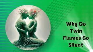 Why Do Twin Flames Go Silent or Cut Off Contact Close to Reunion?