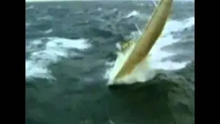 Divine Regale - Ocean Mind