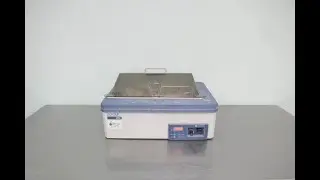 Fisher Scientific Isotemp Water Bath 220 13234