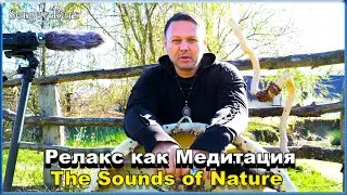 Relax как Медитация - Духовная Музыка Природы. 🔴 ГЛУБОКОЕ РАССЛАБЛЕНИЕ  435 Гц
