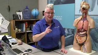 Women In Science, Lee Gambol - Museum Educator