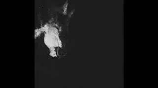 Dreams We've Had - News From The War